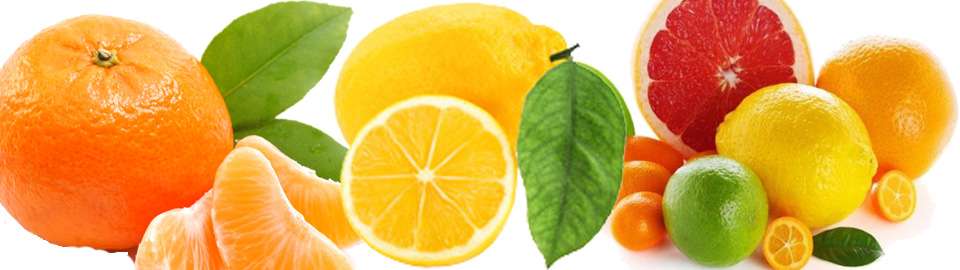 Citrus Pack-House